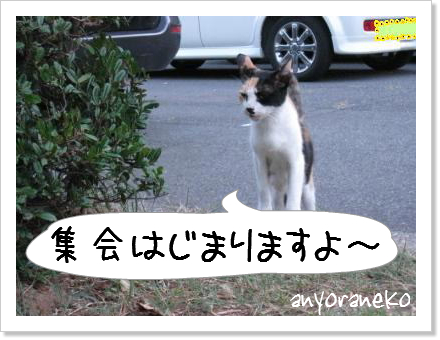 お外は寒い!