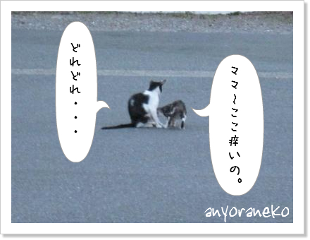 お外は寒い!