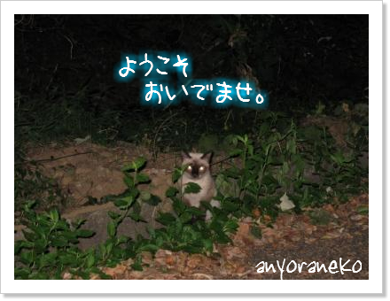 お外は寒い!