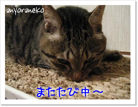ストレス解消~♪