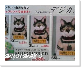 緊張してます