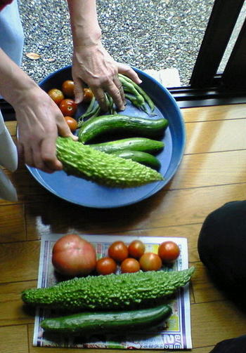 いまのうちだぁ〜