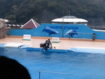 下田の水族館にて。