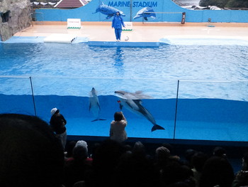 下田の水族館にて。