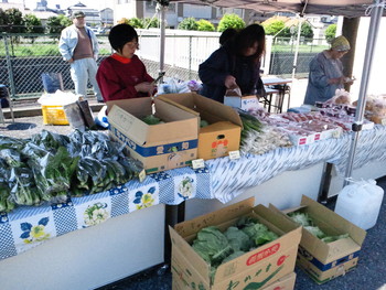 取れたて野菜が安い!
