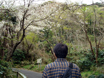 香貫山ハイク