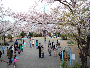 香貫山ハイク