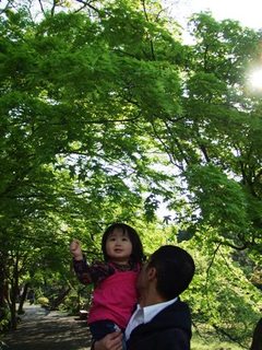 更新もせず( Ⅱ∇Ⅱ )ノノ