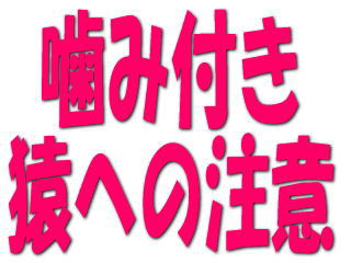 噛み付き猿への注意