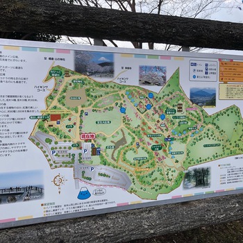 梅まつり 富士市岩本山公園 ECCジュニア&シニア広見教室 梅まつり 富士市岩本山公園 ECCジュニア&シニア広見教室