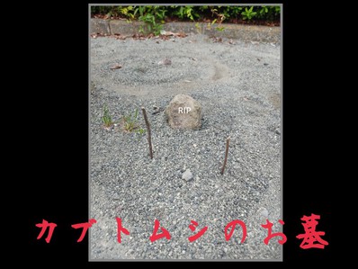 公園 公園