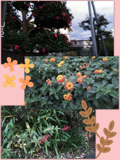 おさんぽうきうき(∩´∀`)∩ おさんぽうきうき(∩´∀`)∩