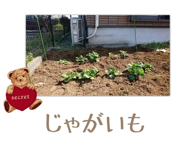いつのまにっΣ(・ω・ノ)ノ! いつのまにっΣ(・ω・ノ)ノ!
