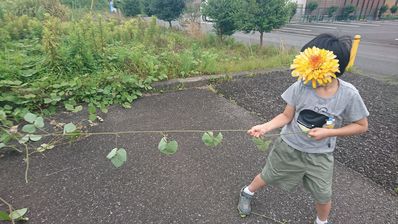 おにごっこ おにごっこ