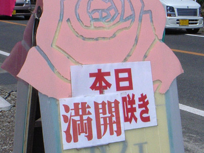 バラ満開!