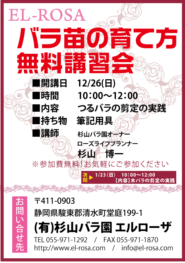 12月のバラ苗無料講習会