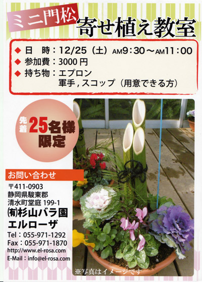 ミニ門松寄せ植え教室