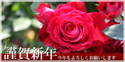 杉山バラ園 エルローザ