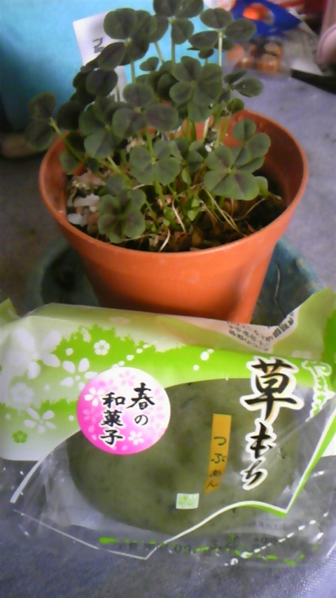 花もだんごも