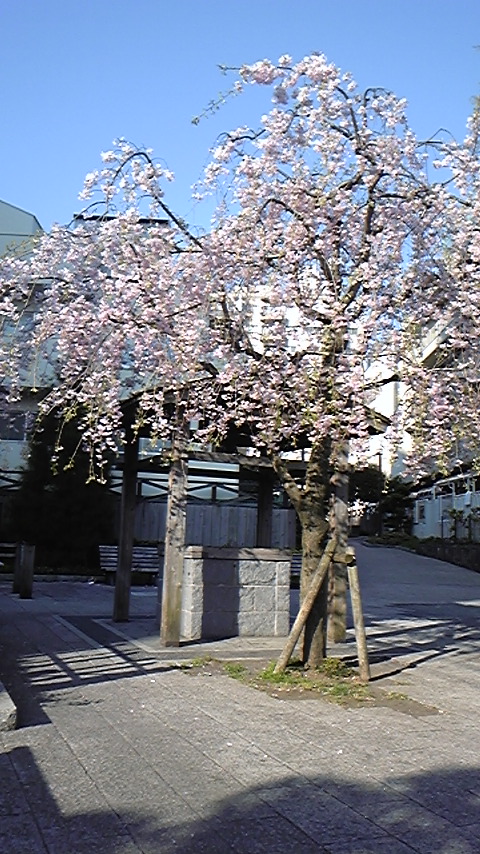 通勤途中