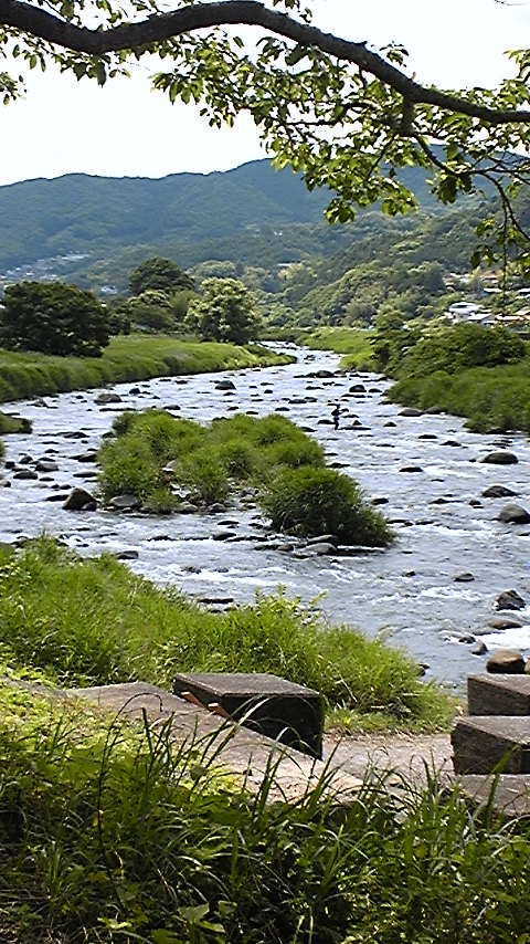 鮎と川