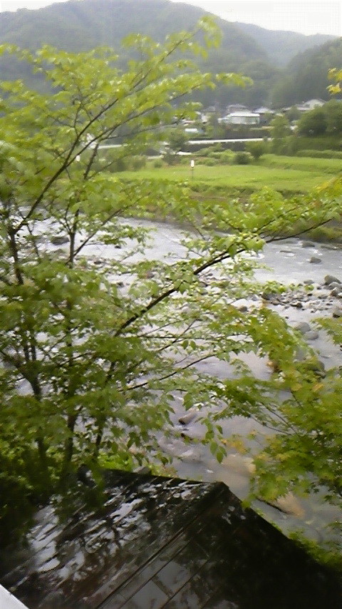 鮎釣り