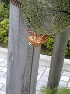 通勤中