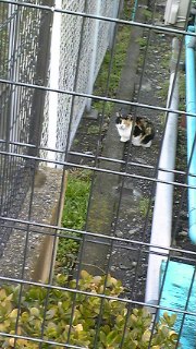おひさ〜