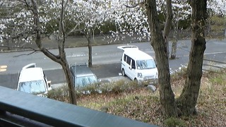 BBQ前