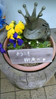 ランチ