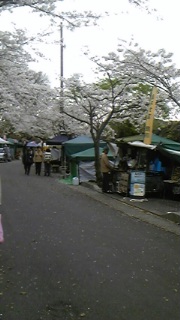 桜祭り