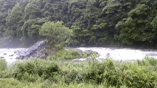 湯ヶ島