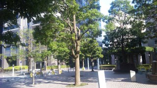 ビル風
