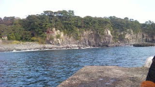 八幡野港