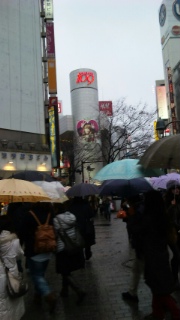 何年ぶりかの