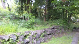 ぼうぼう