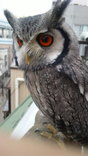 くもり