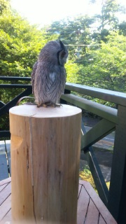 伊豆の朝