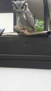 ガラムマサラさん