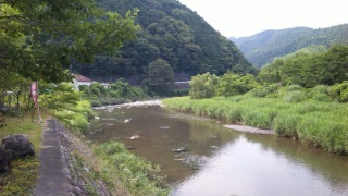 福士川鮎釣り