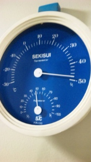 夏ですね
