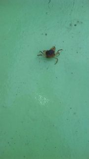 おは月ヶ瀬