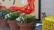 富士へ襲来