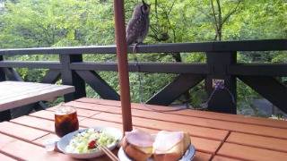 朝ごはん