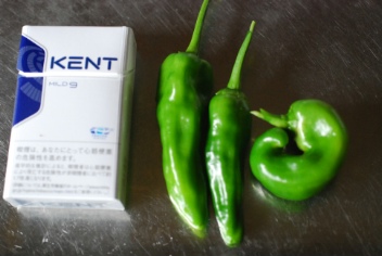 ししとう