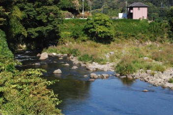 狩野川月ヶ瀬