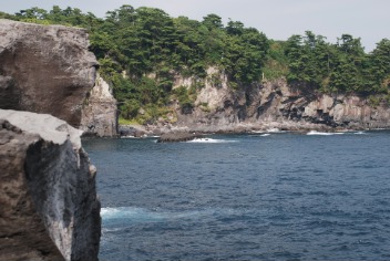 八幡野港
