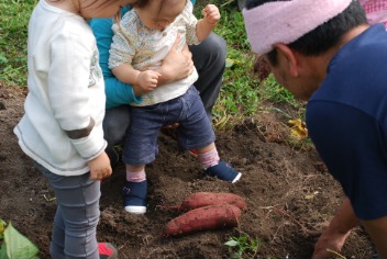 さつまいも村