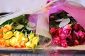花もだんごも