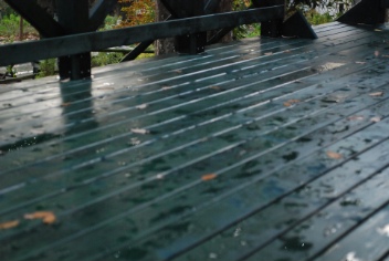 雨上がりました
